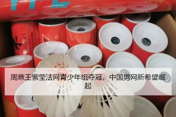 zhou-yi-wang-zi-ying-fa-wang-qing-shao-nian-zu-duo-guan-zhong-guo-nan-wang-xin-xi-wang-jue-qi-2-129.jpg
