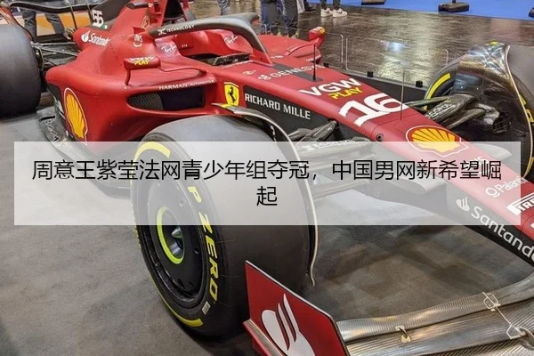 zhou-yi-wang-zi-ying-fa-wang-qing-shao-nian-zu-duo-guan-zhong-guo-nan-wang-xin-xi-wang-jue-qi-3-323.jpg