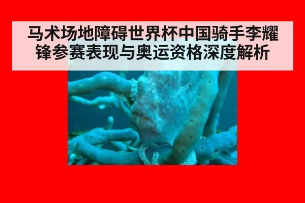 马术场地障碍世界杯中国骑手李耀锋参赛表现与奥运资格深度解析
